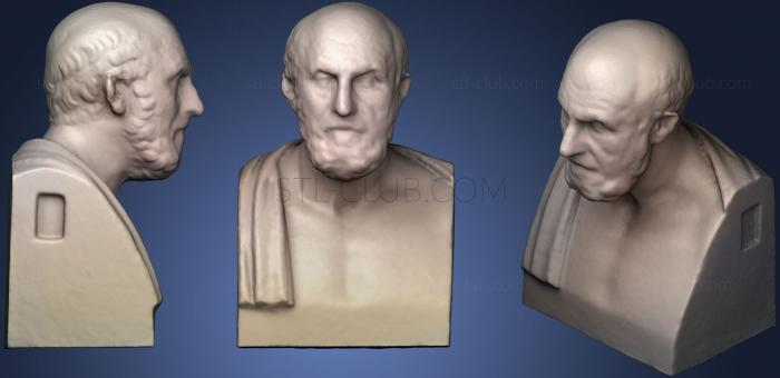 3D model Chrysippus 2 (STL)